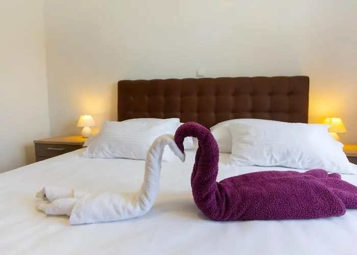 Vladimir #4 شقة *